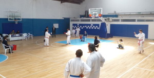 P1030902